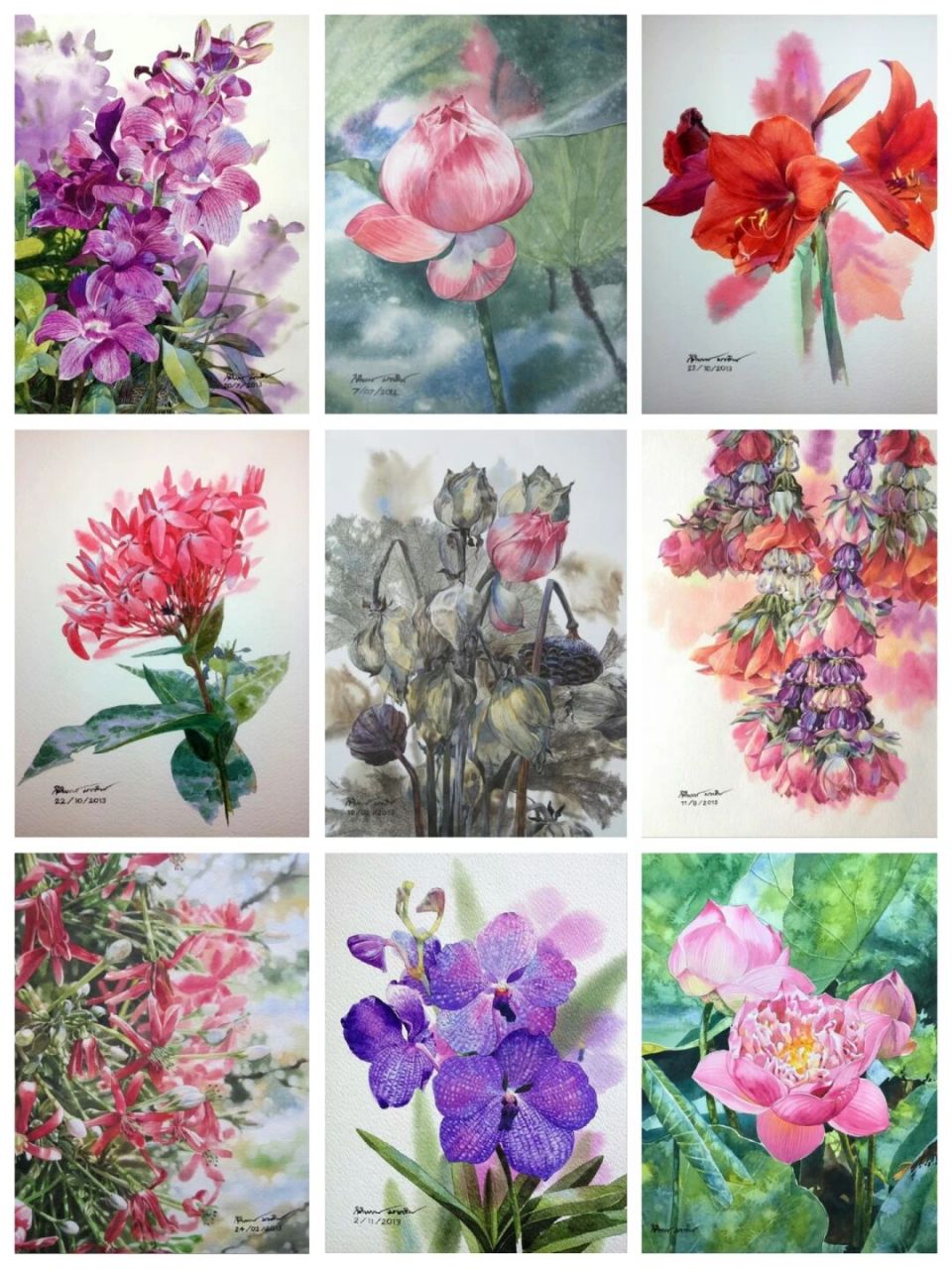 来自泰国水彩画家 kitipong ti 的花卉作品,虚实表现的恰到好处,色彩
