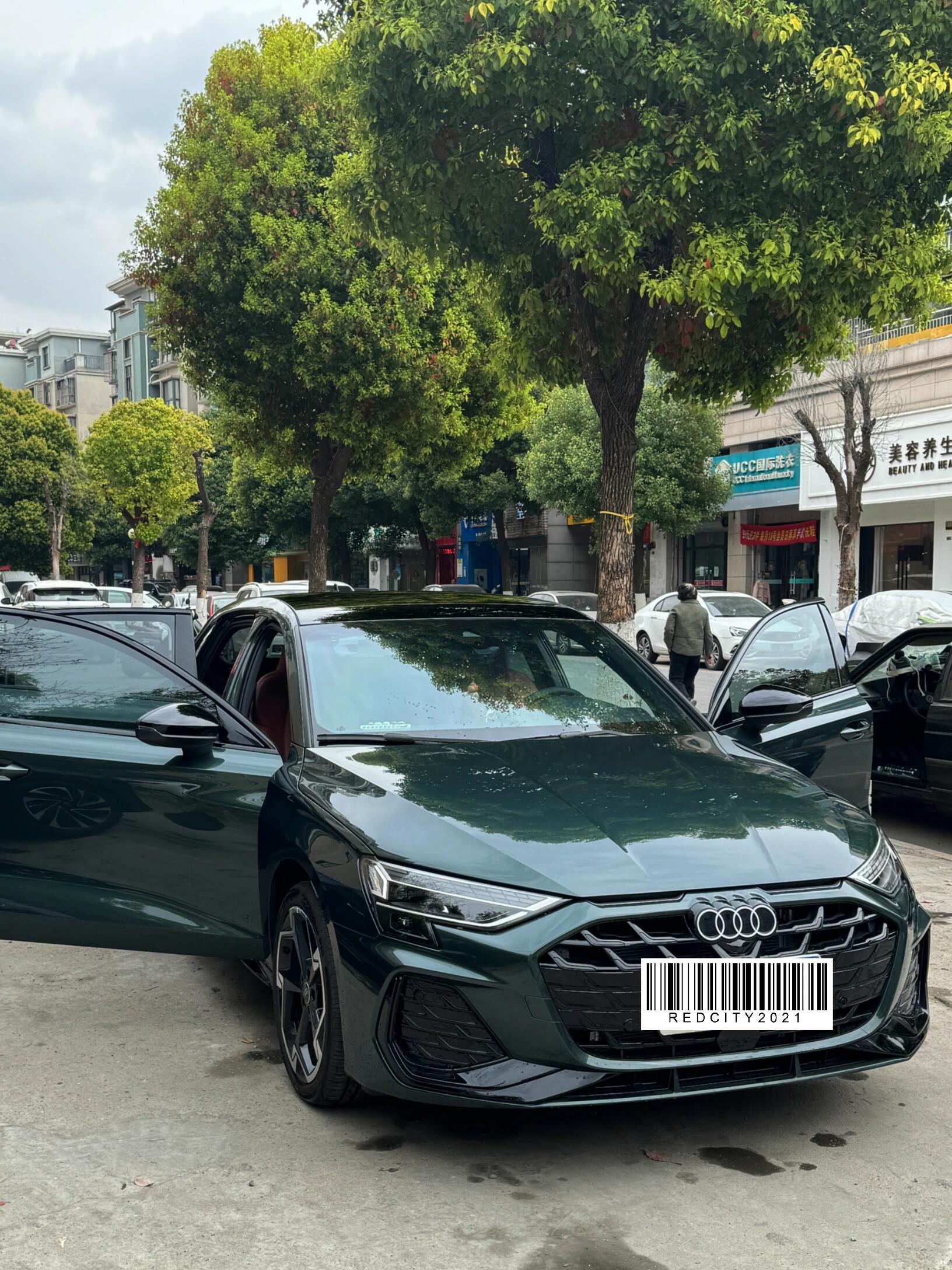 a3哥特兰绿黑化版红色内饰不会只有我一台吧