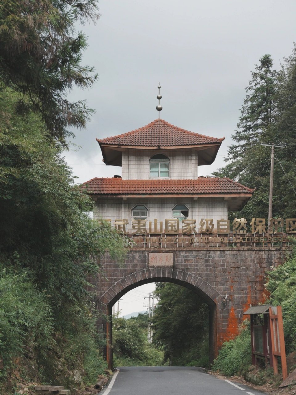 寻访武夷山——桐木关7215 |   探山场之桐木关 这里是世界红茶
