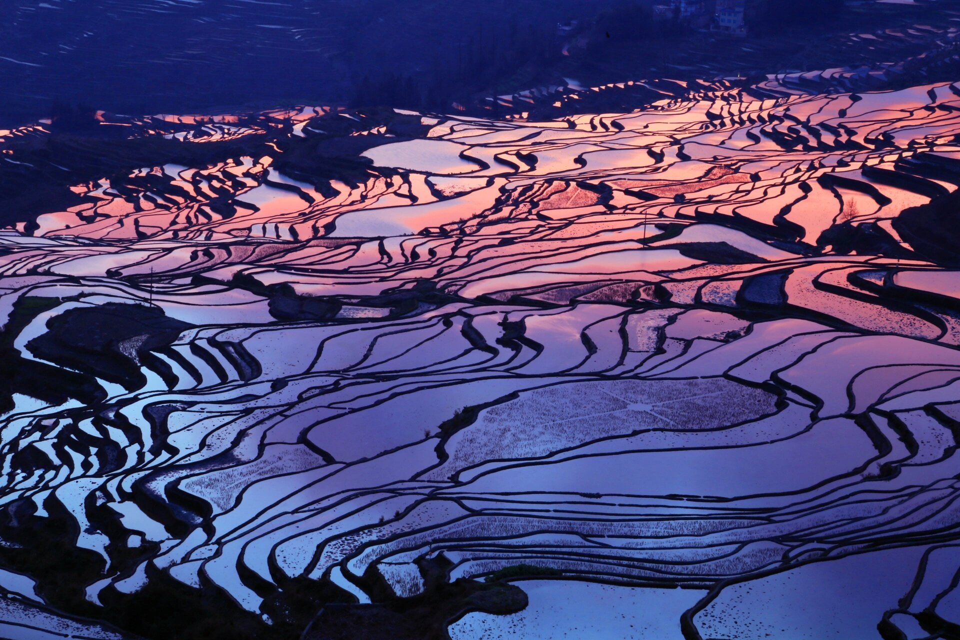 梯田日出 元阳梯田多依树景区是日出最佳观赏点.