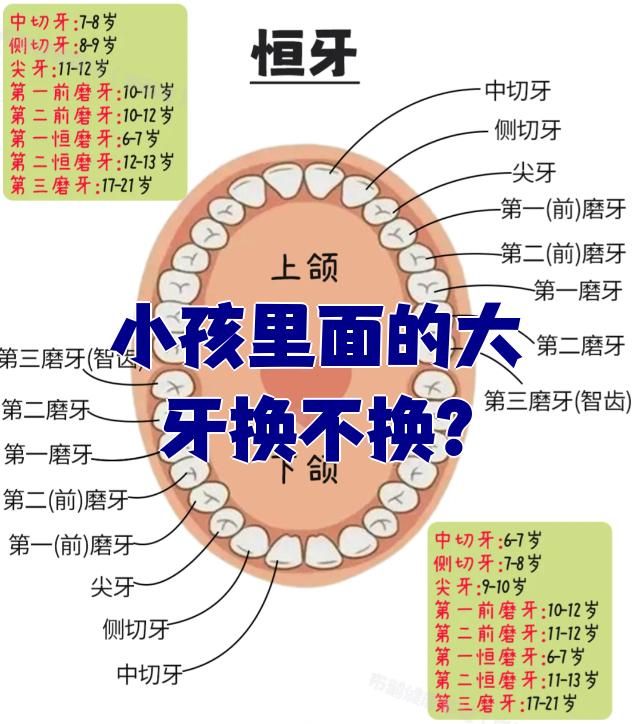 宝宝为什么磨牙齿 宝宝为什么磨牙齿
