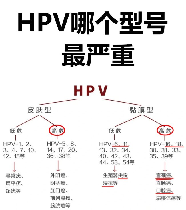 hpv感染原因图片