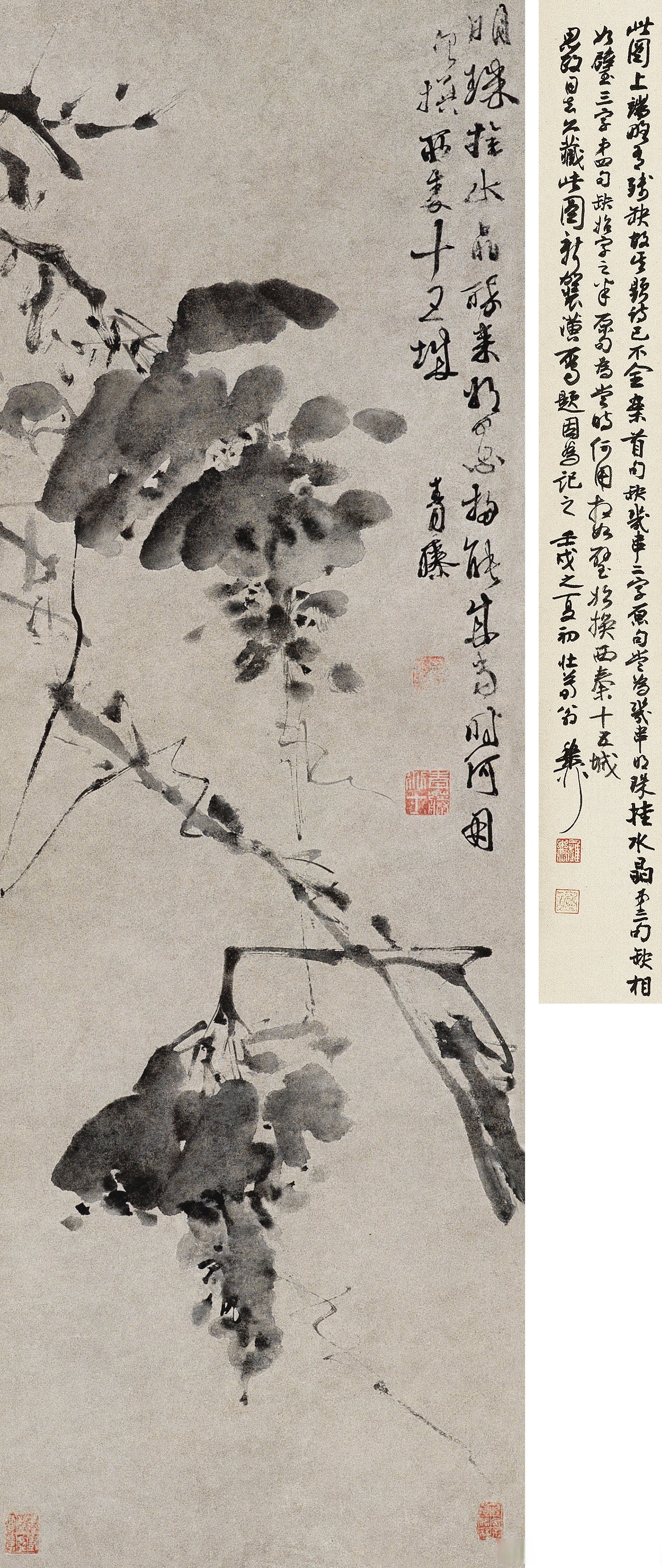 明代画家徐渭花鸟画