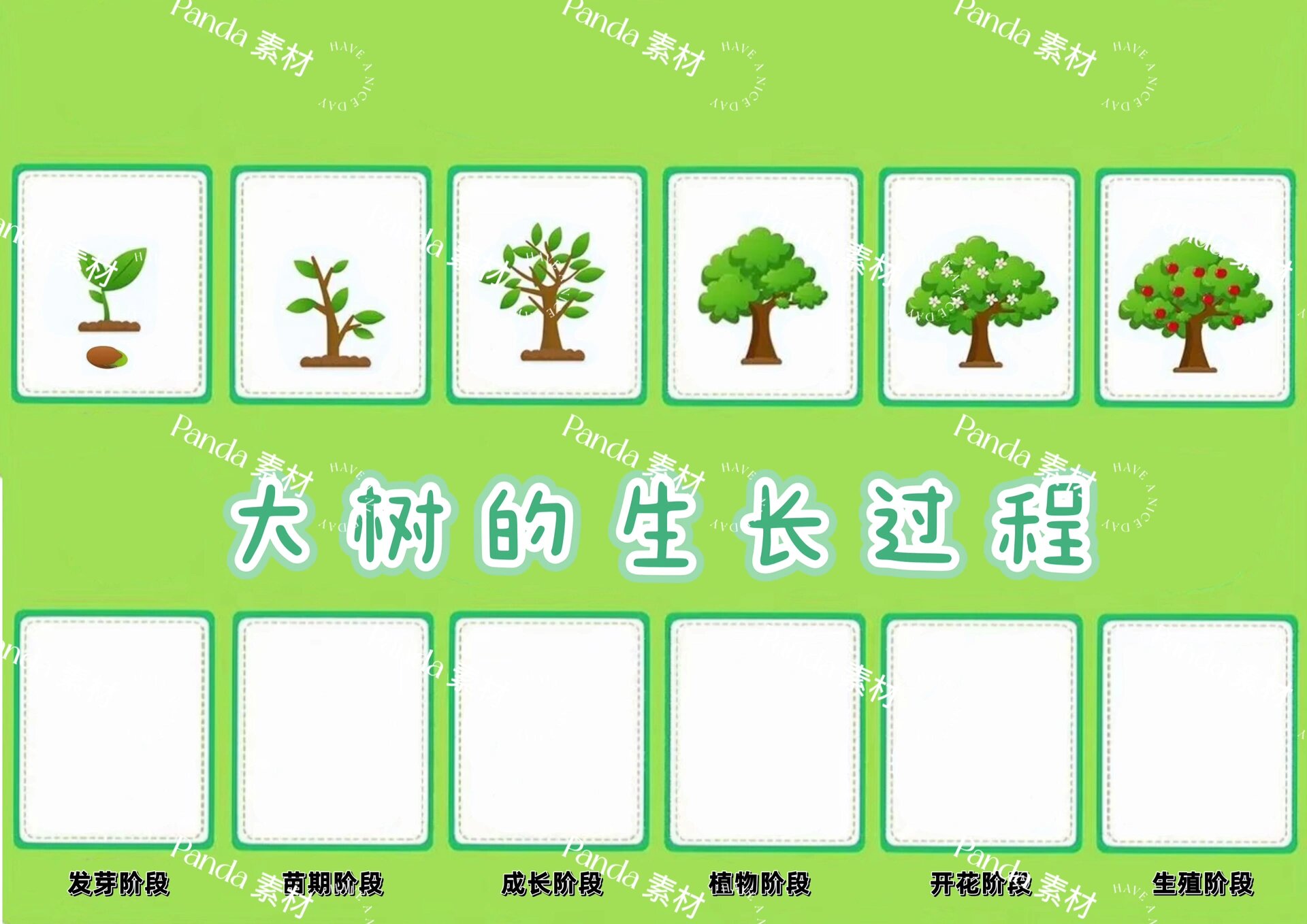 大树生长过程打印素材