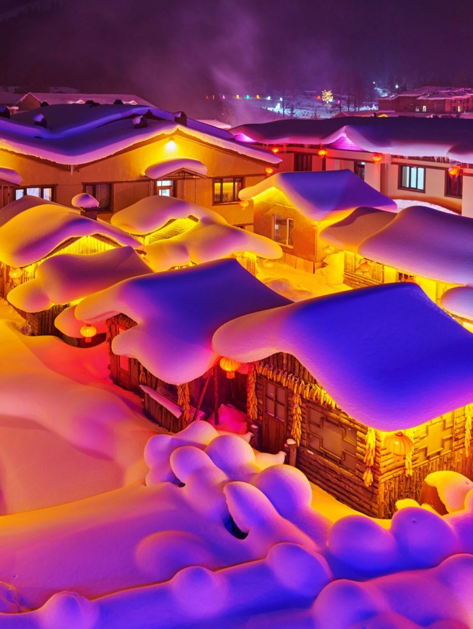 去雪乡遇见真实存在的梦幻狗熊岭93 99第一次被一张图片安利!