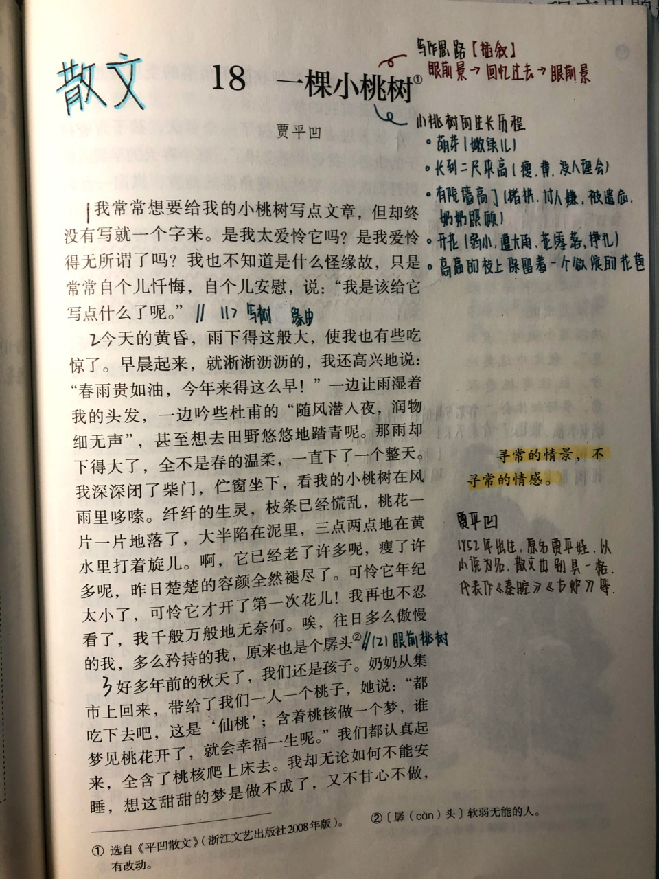 一棵小桃树课文笔记图片