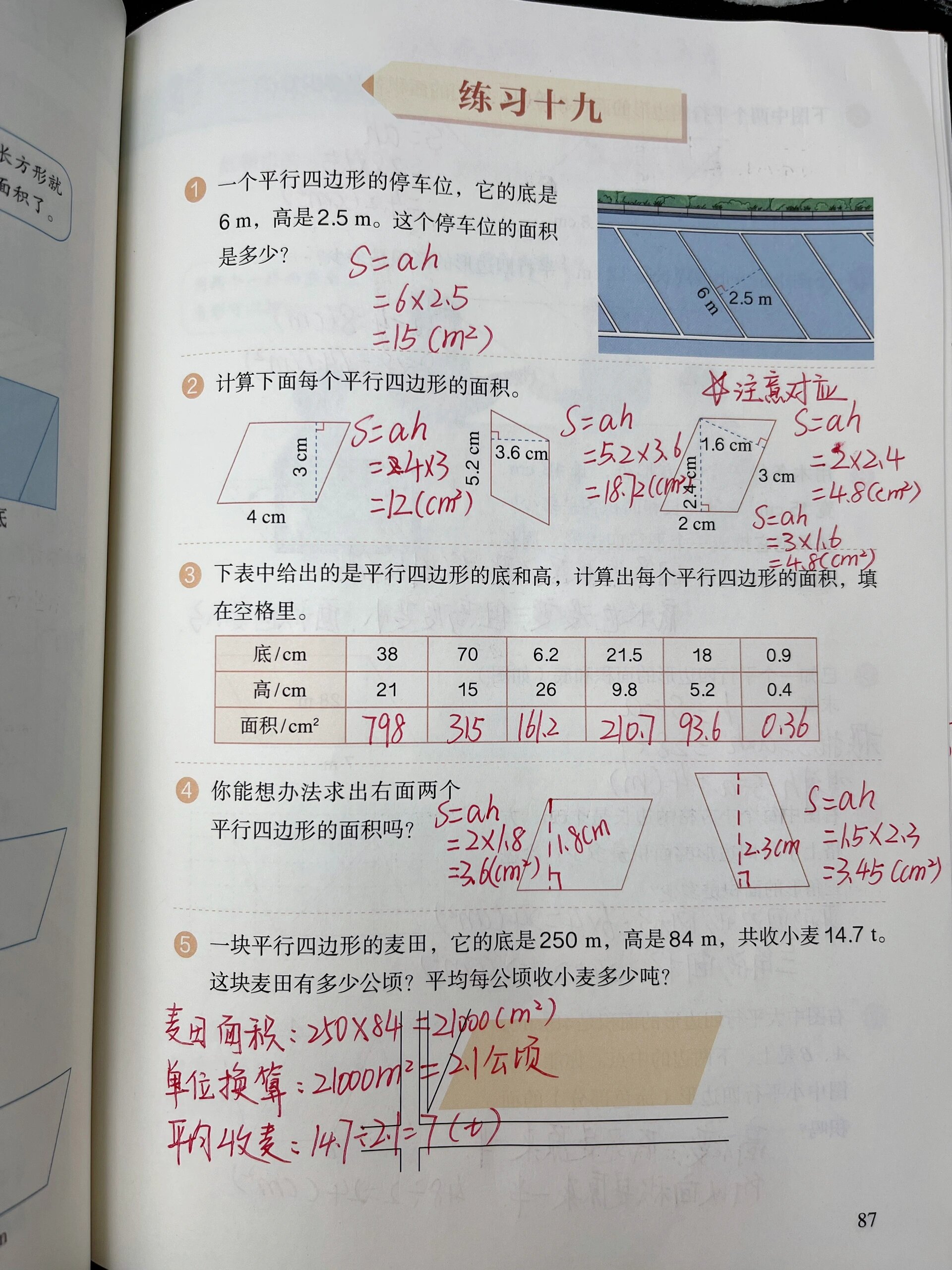 人教版数学五年级上册【多边形的面积】