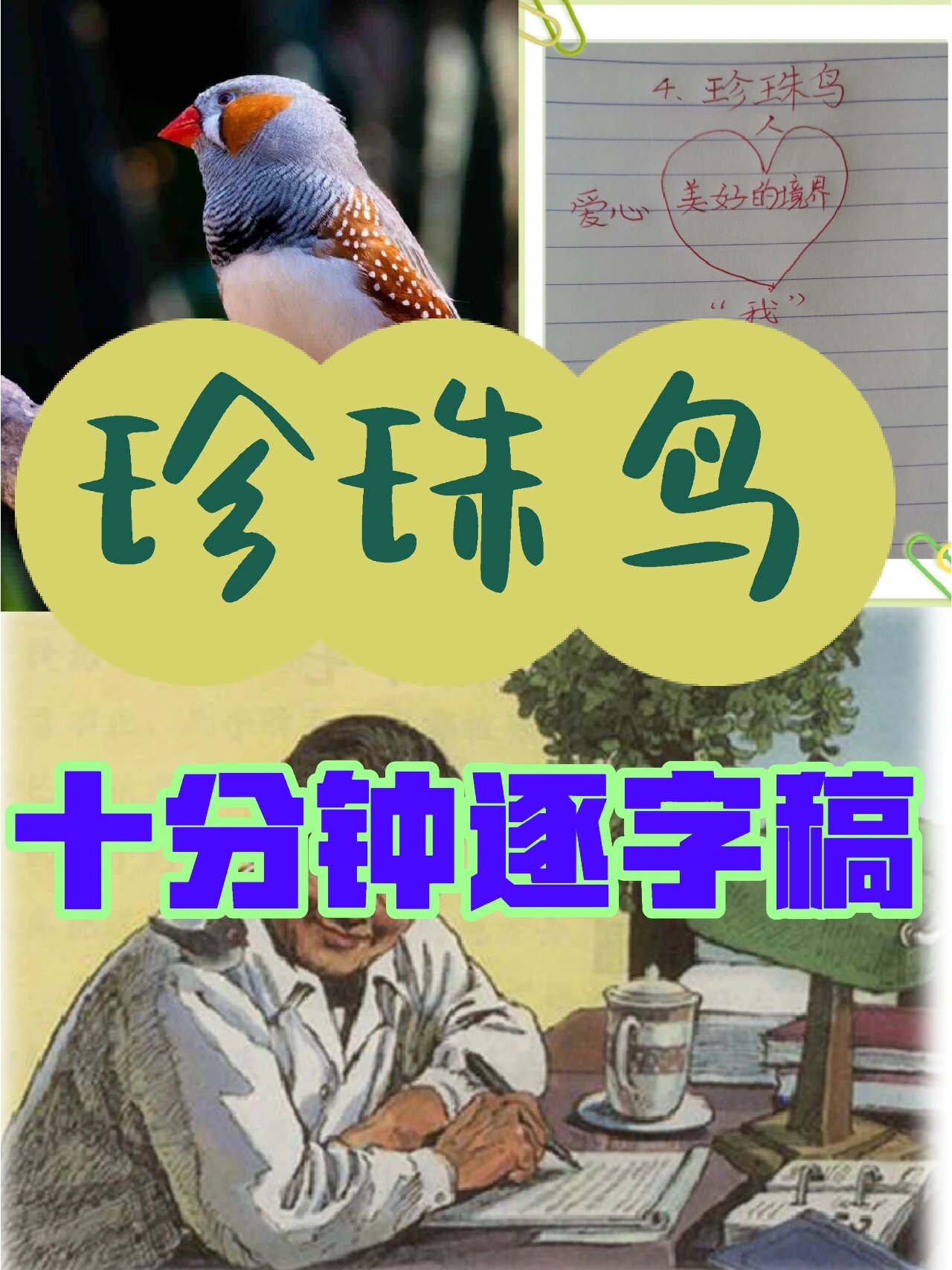 《珍珠鸟》十分钟试讲稿