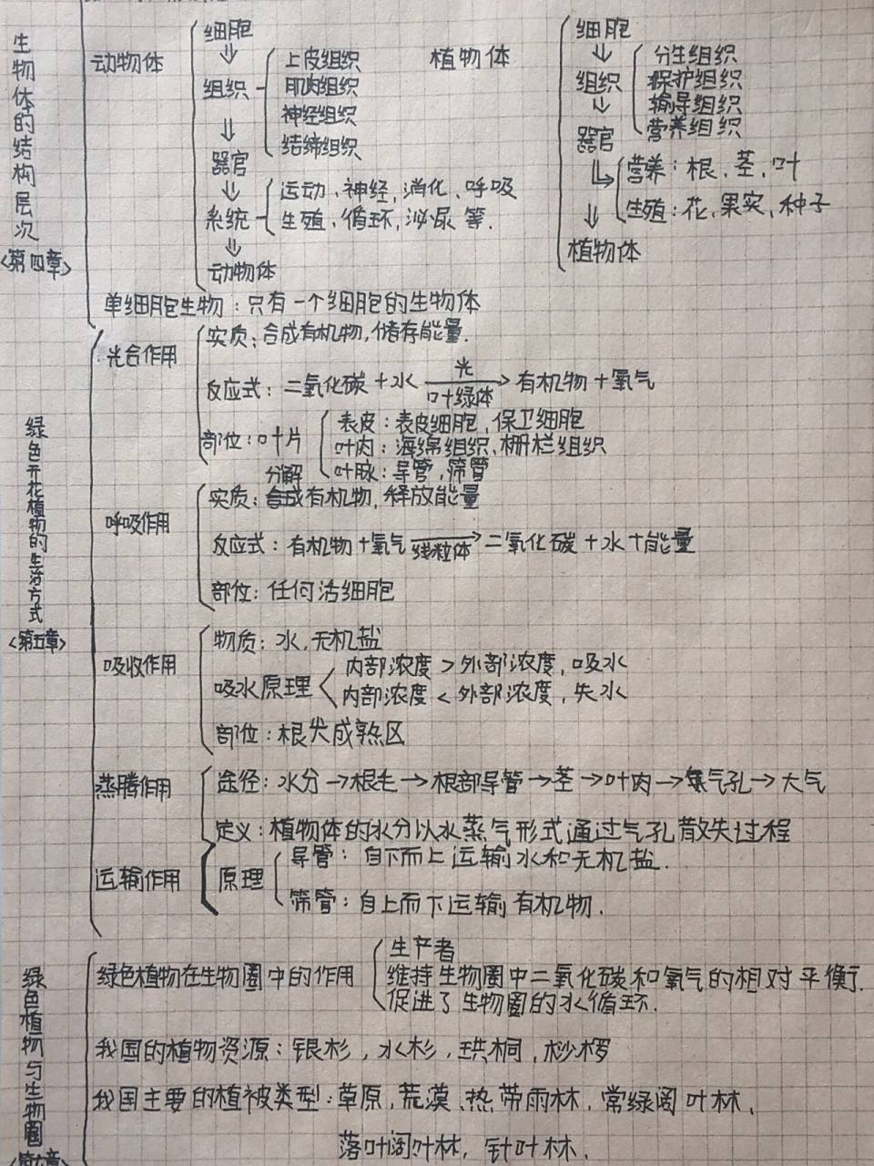 七年级上册全册生物思维导图 原创笔记……字丑勿喷