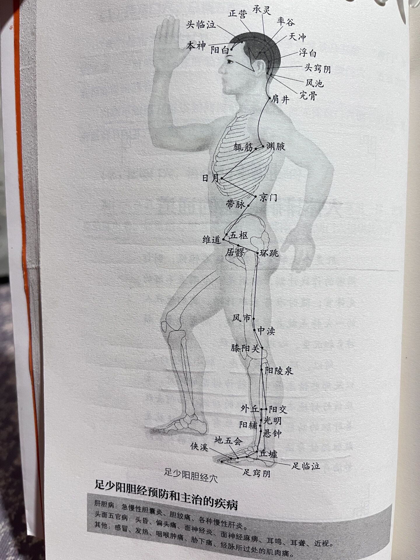 敲胆经好处多多 敲胆经具有疏肝理气