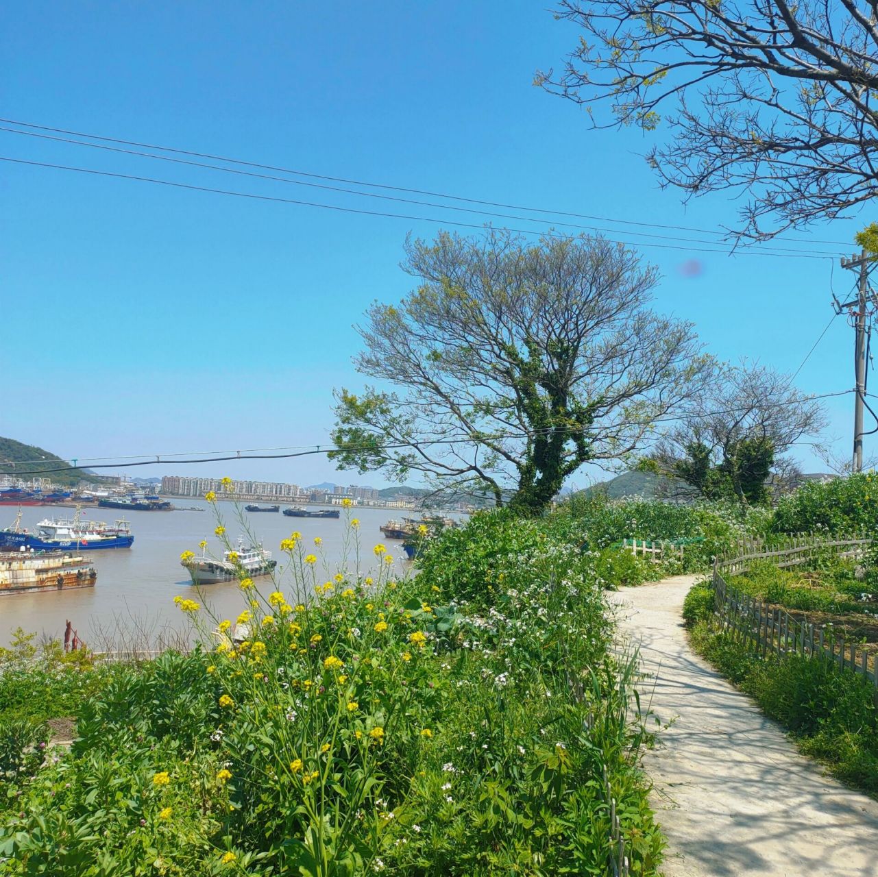 温岭石塘镇自驾游97活在滤镜下的小箬村 09眼见为实 带你们看看