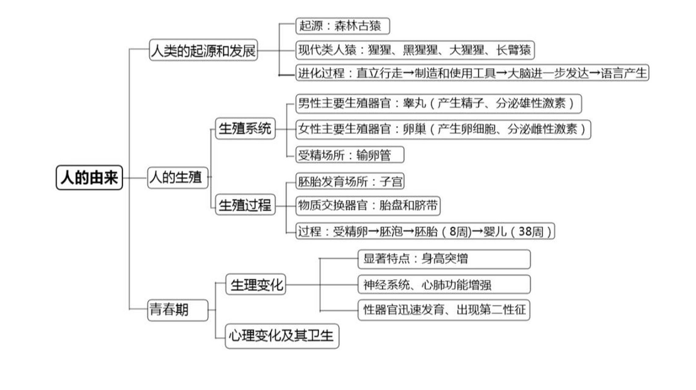 人教版七下生物思维导图 人教版七下生物思维导图知识点