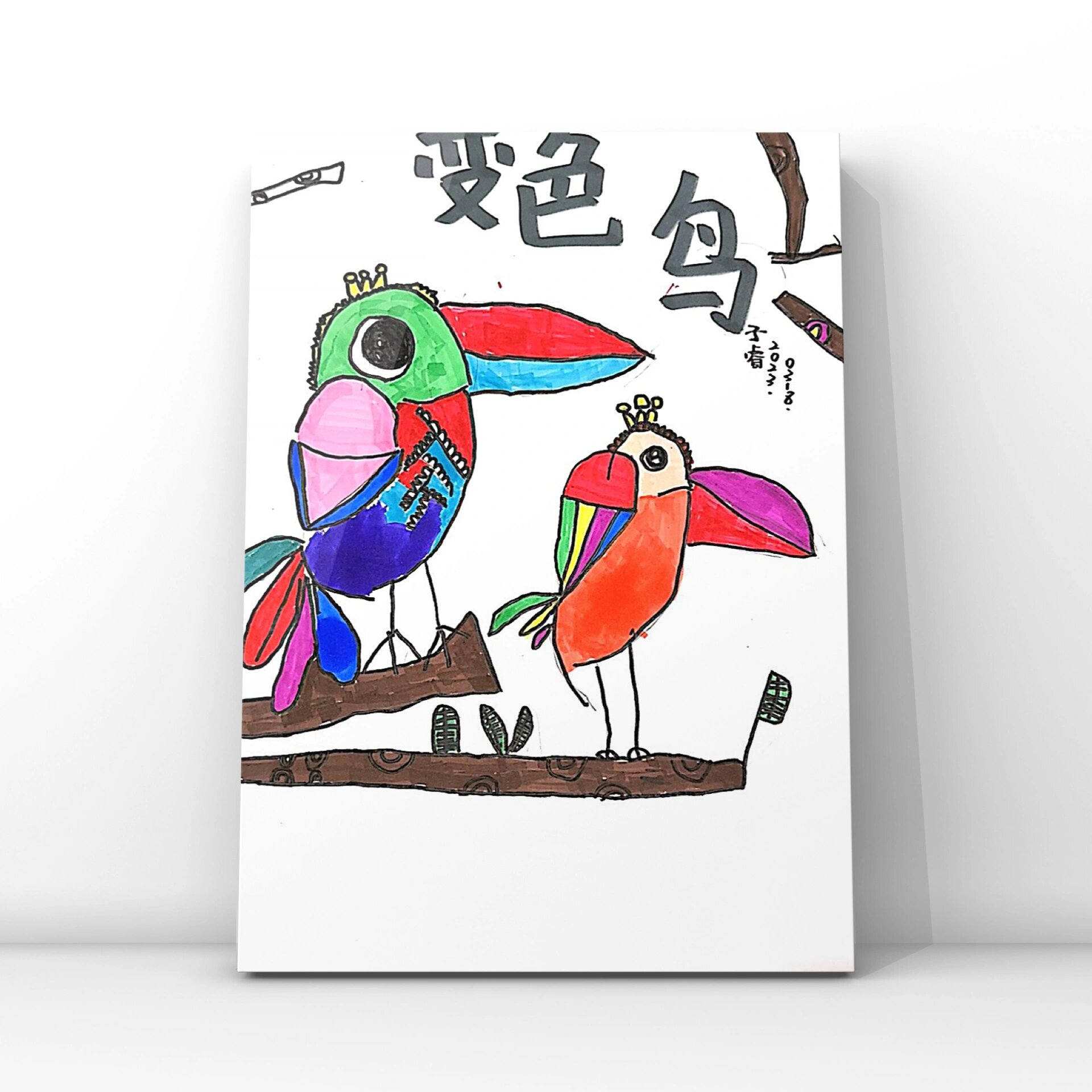 绘本|《变色鸟》 96年龄:中大班 	 本节课学习了鸟的外形特点以及