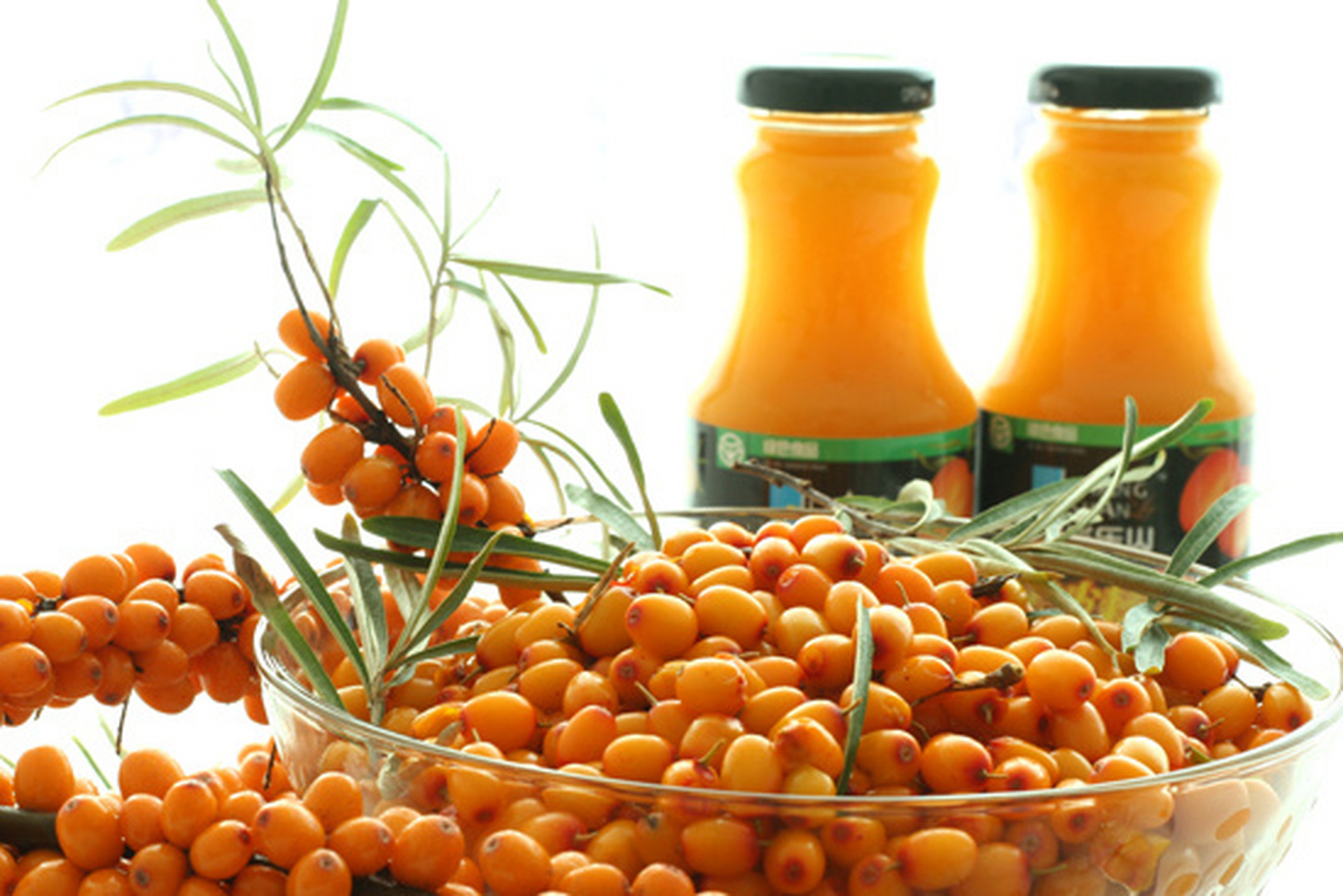 黑龙江省特产 - 孙吴大果沙棘 孙吴县地处小兴安岭北麓,黑河市中部