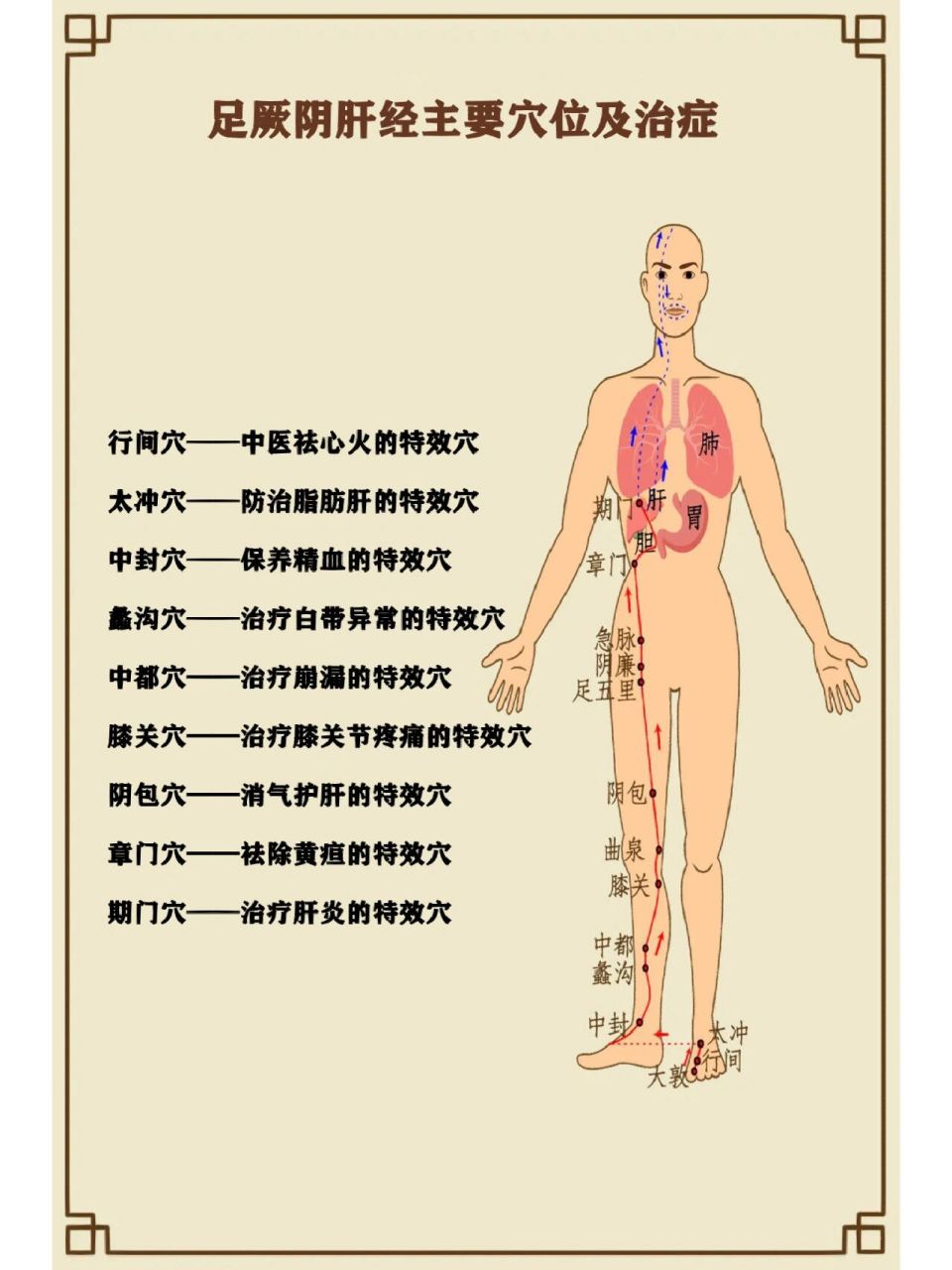 三焦经胆经肝经主要穴位及治症     【手少阳三焦经】 液门穴——缓解
