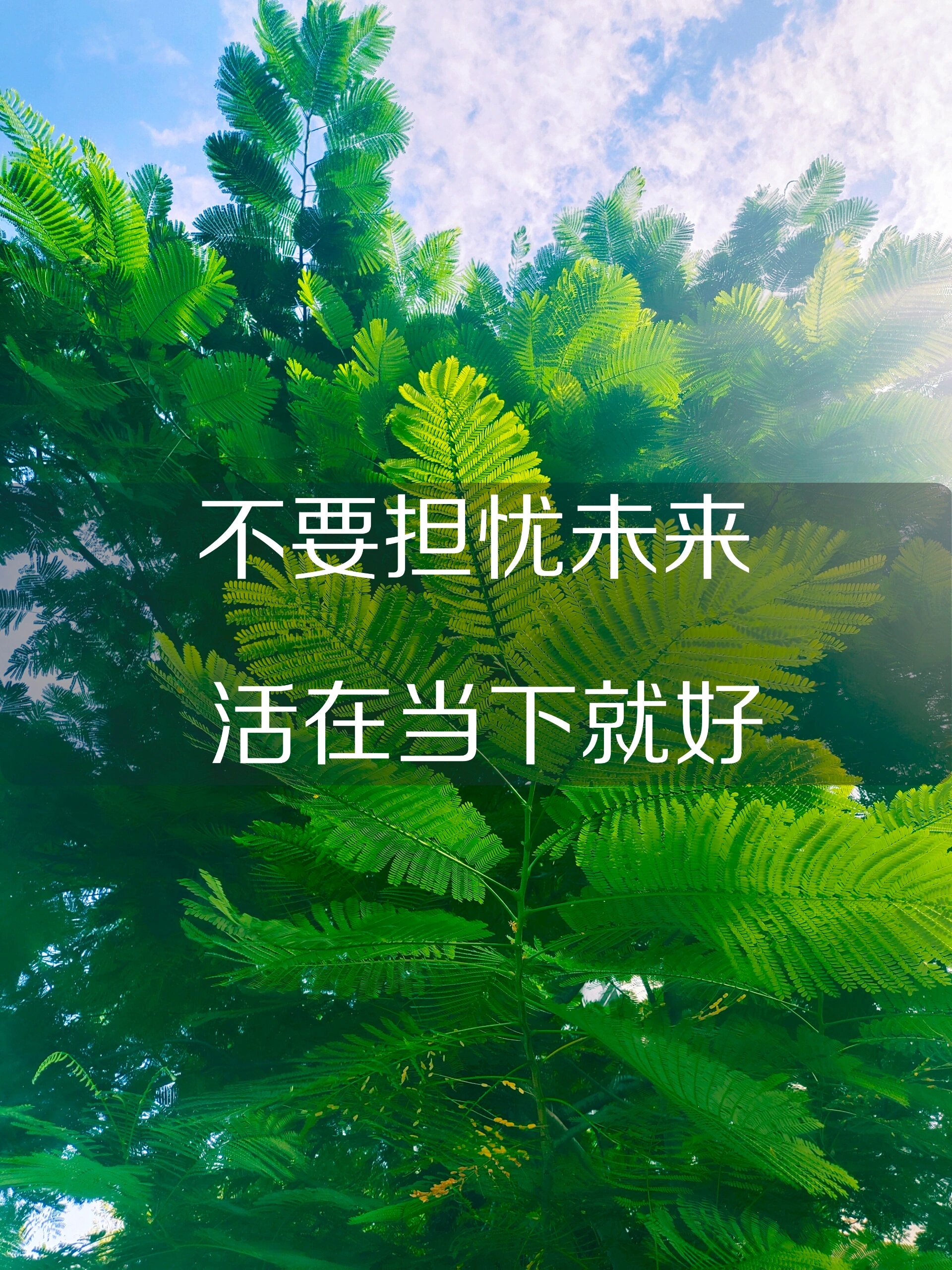 不要担忧未来,活在当下就好