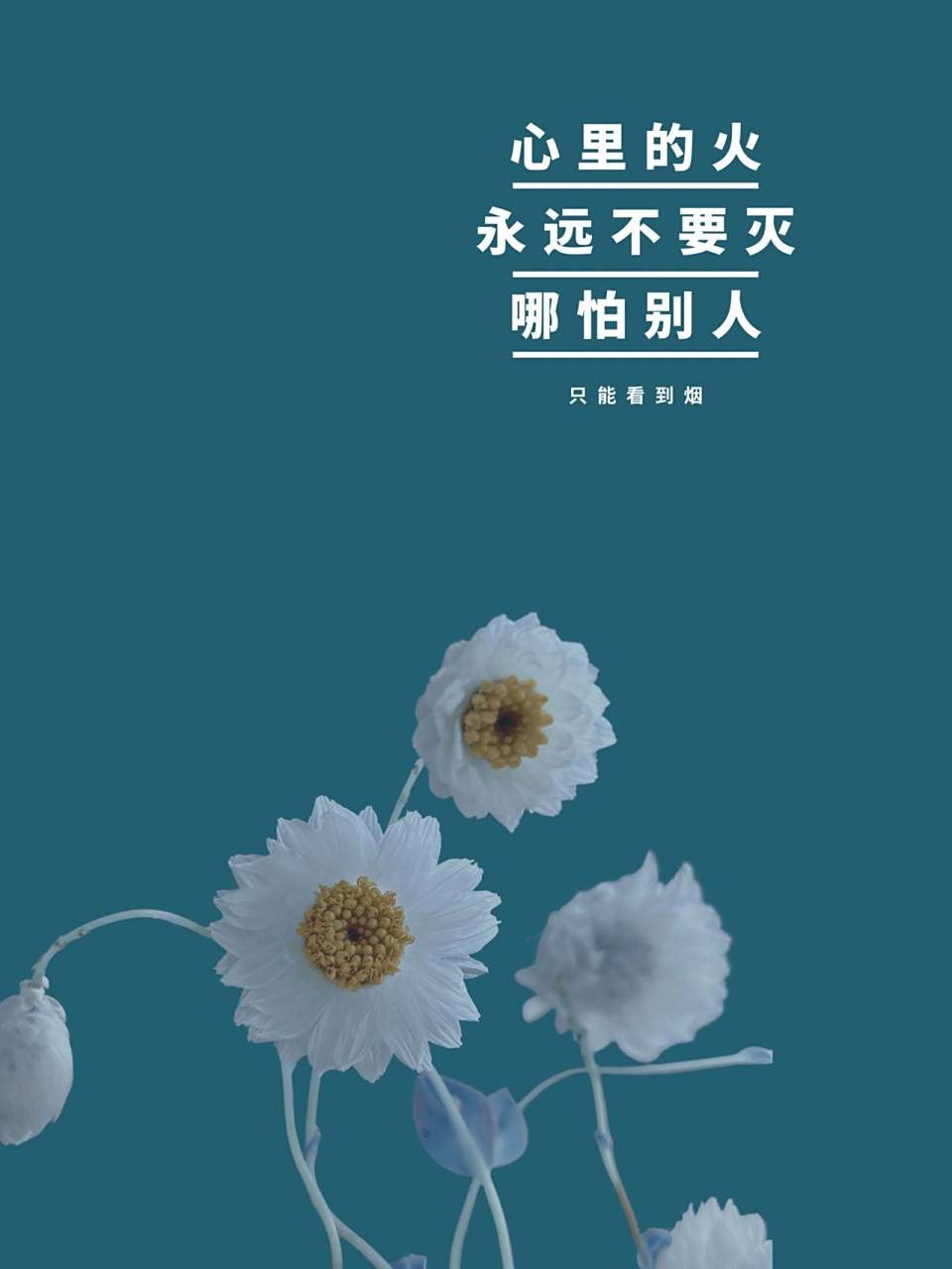 金句图经典句子唯美图片 🅐🅨 344 美学日记被我写成修心日记了