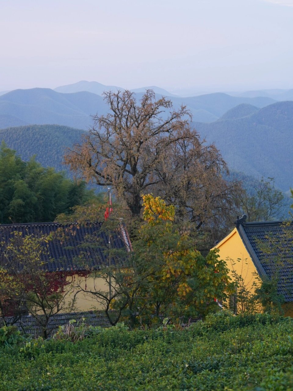 宜兴|太华九峰禅寺 立秋以来见过最好看的日出 不同于上次太华山的