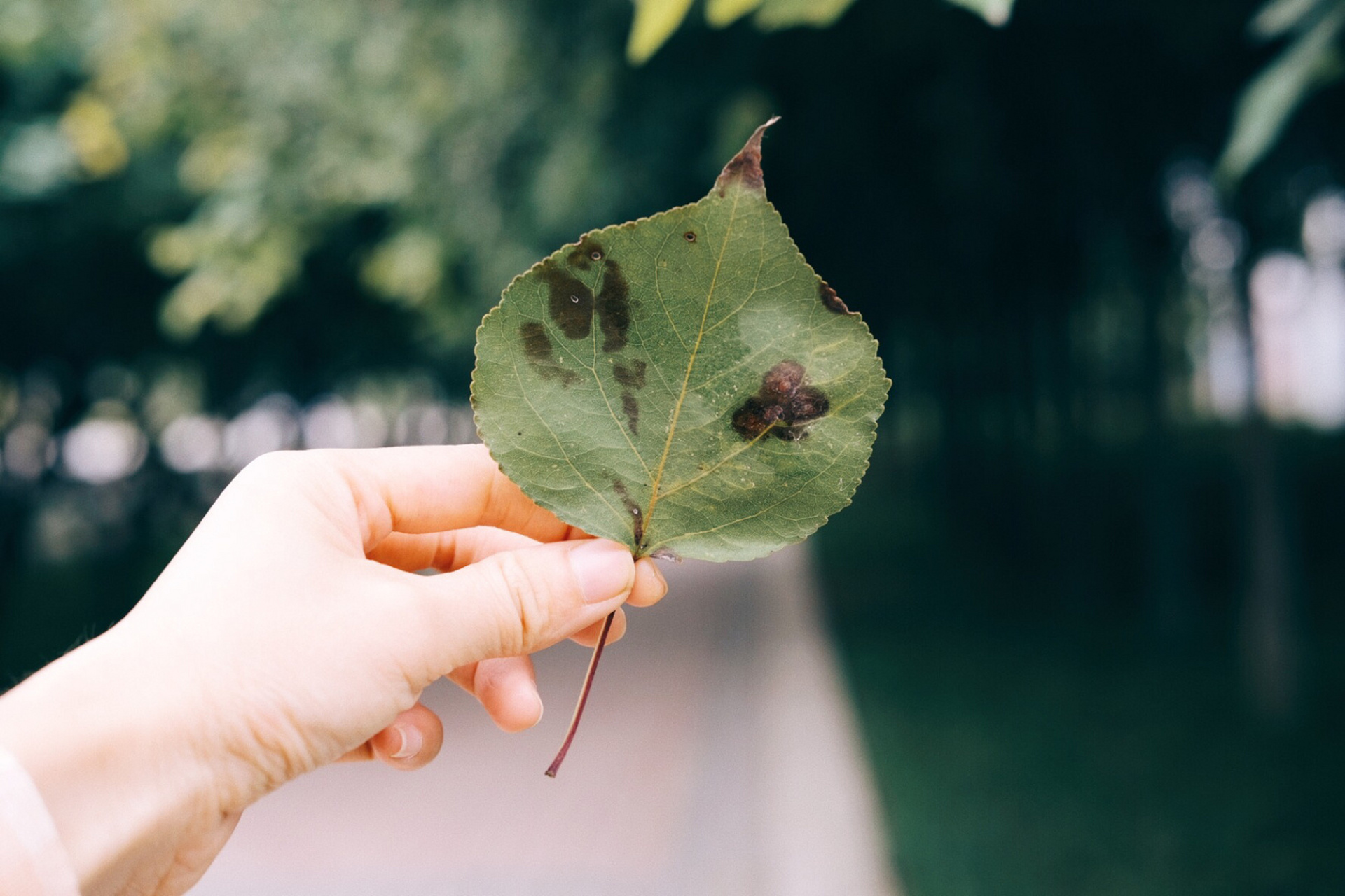 "世界上所有的惊喜和好运,都是你积累的温柔和善良" - 修图app:vsco