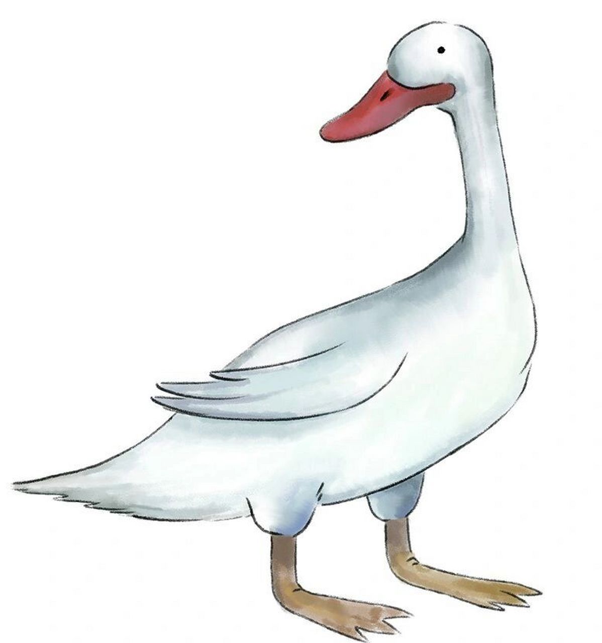 比尾巴  公开课 教具来了 姐妹们98这个教具不需要买啊,费那钱喝