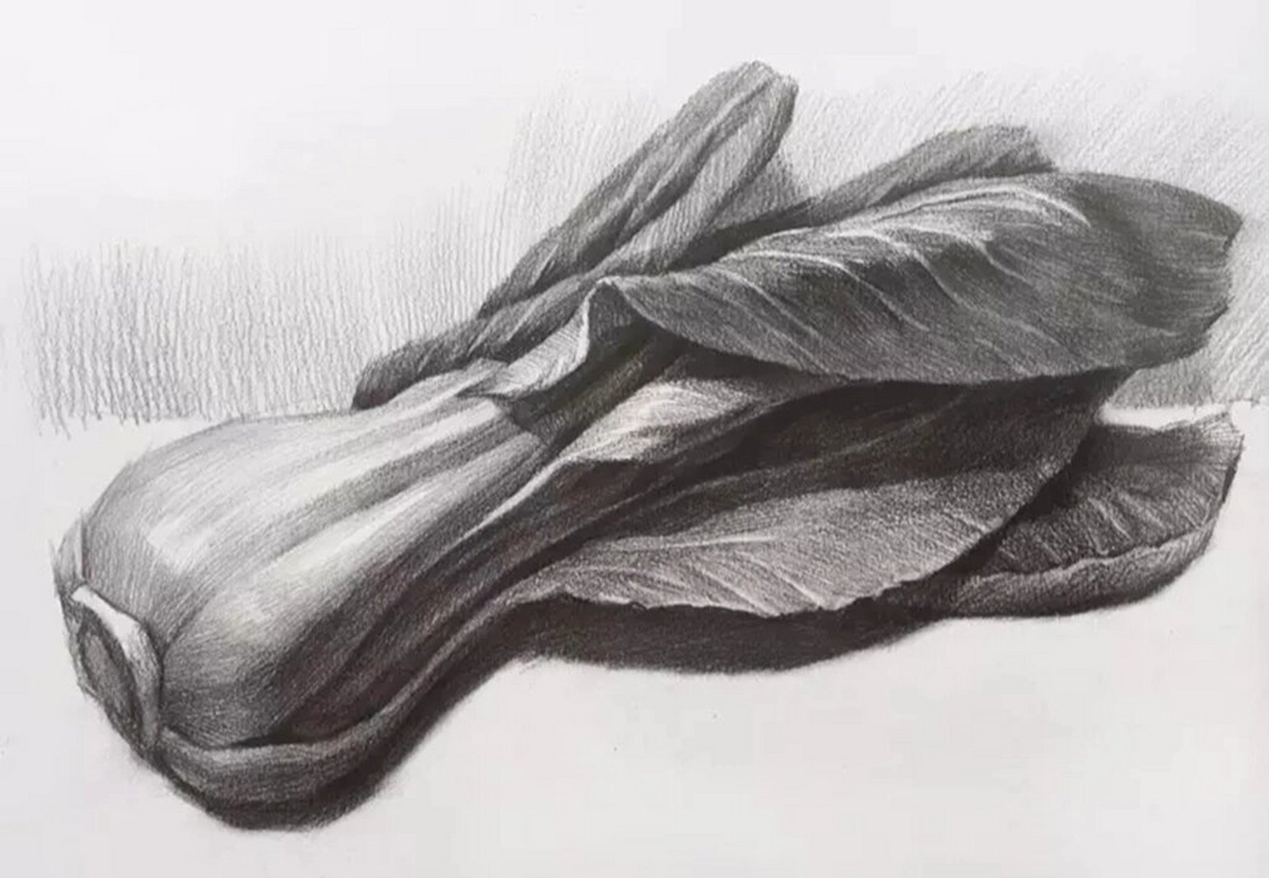 最全素描水果单体合集 优秀素描水果单体分享 素描静物,一个练习素描