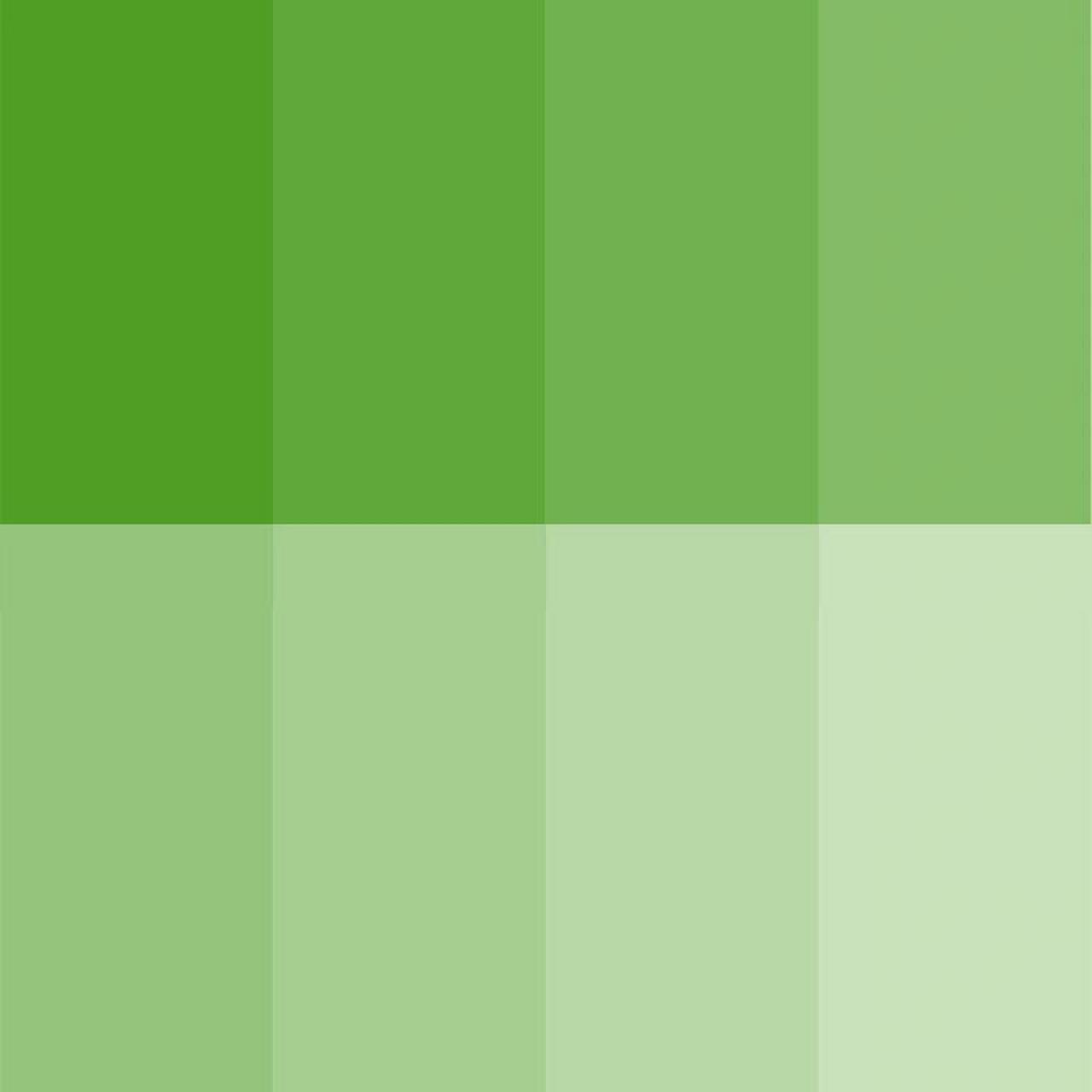 纯色绿色手机壁纸,开启绿色屏幕～    第一期手机纯色壁纸 会有人用到