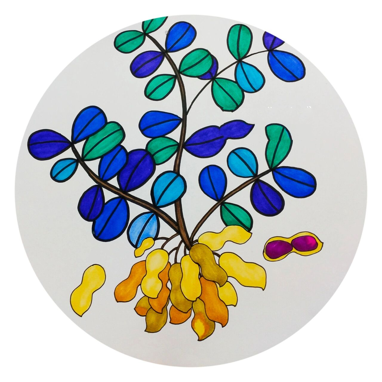 创意儿童画《花生》 适合七岁左右的小朋友