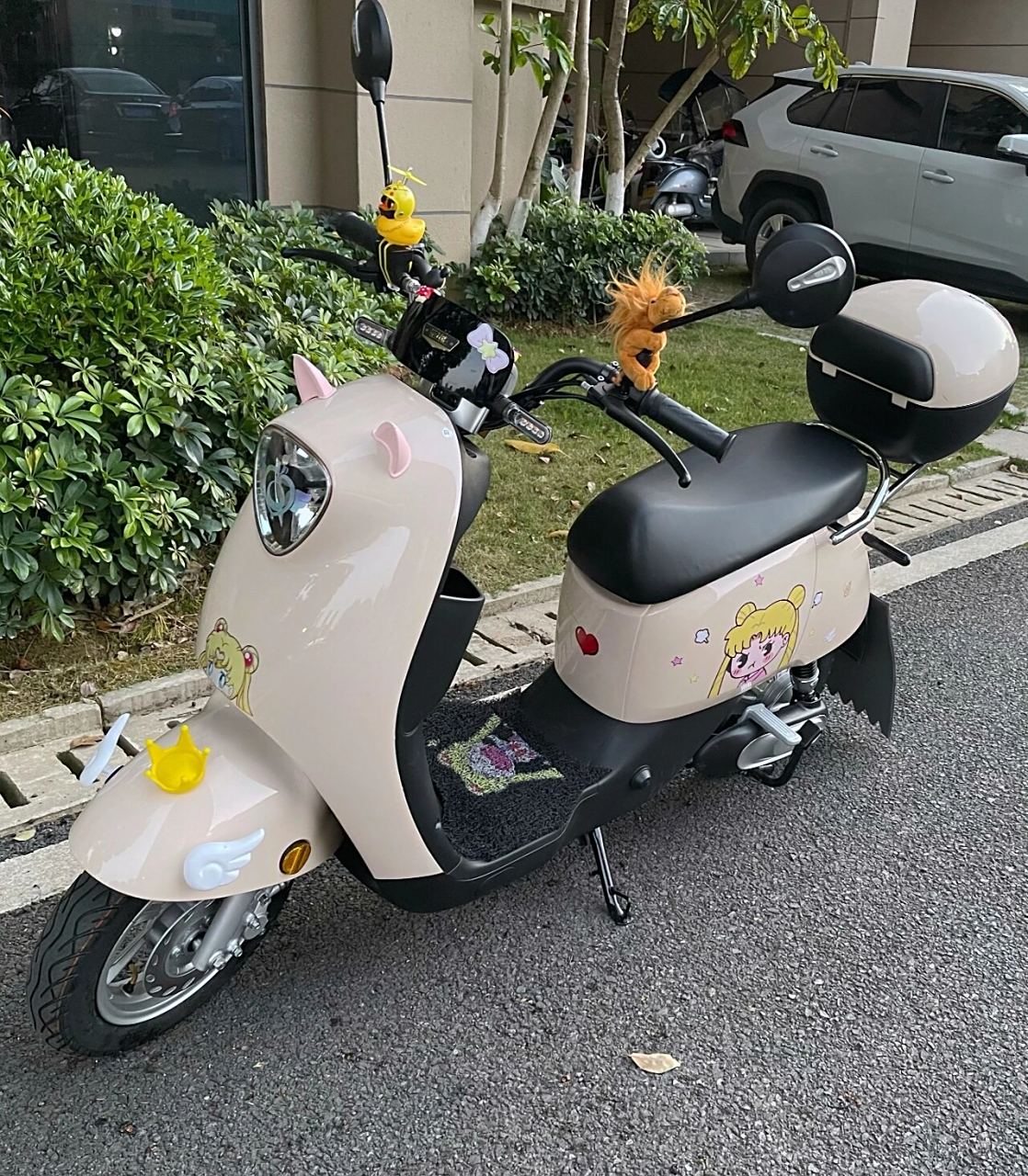 我心爱滴01「雅迪dm6」 装饰了三个下午 是我喜欢的样子 	 买个小