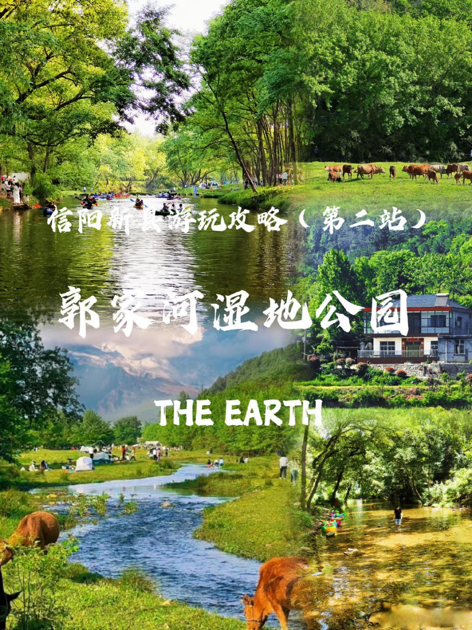 信阳旅游攻略 |  06新县郭家河湿地公园 初秋的第一场露营,来河南"