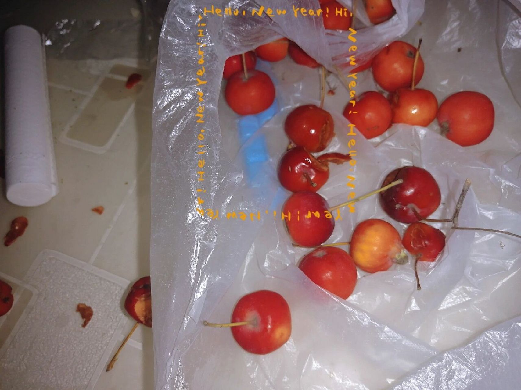 又酸又涩的海红果,人类幼崽好像还挺喜欢吃 九月初从内蒙带回来的海