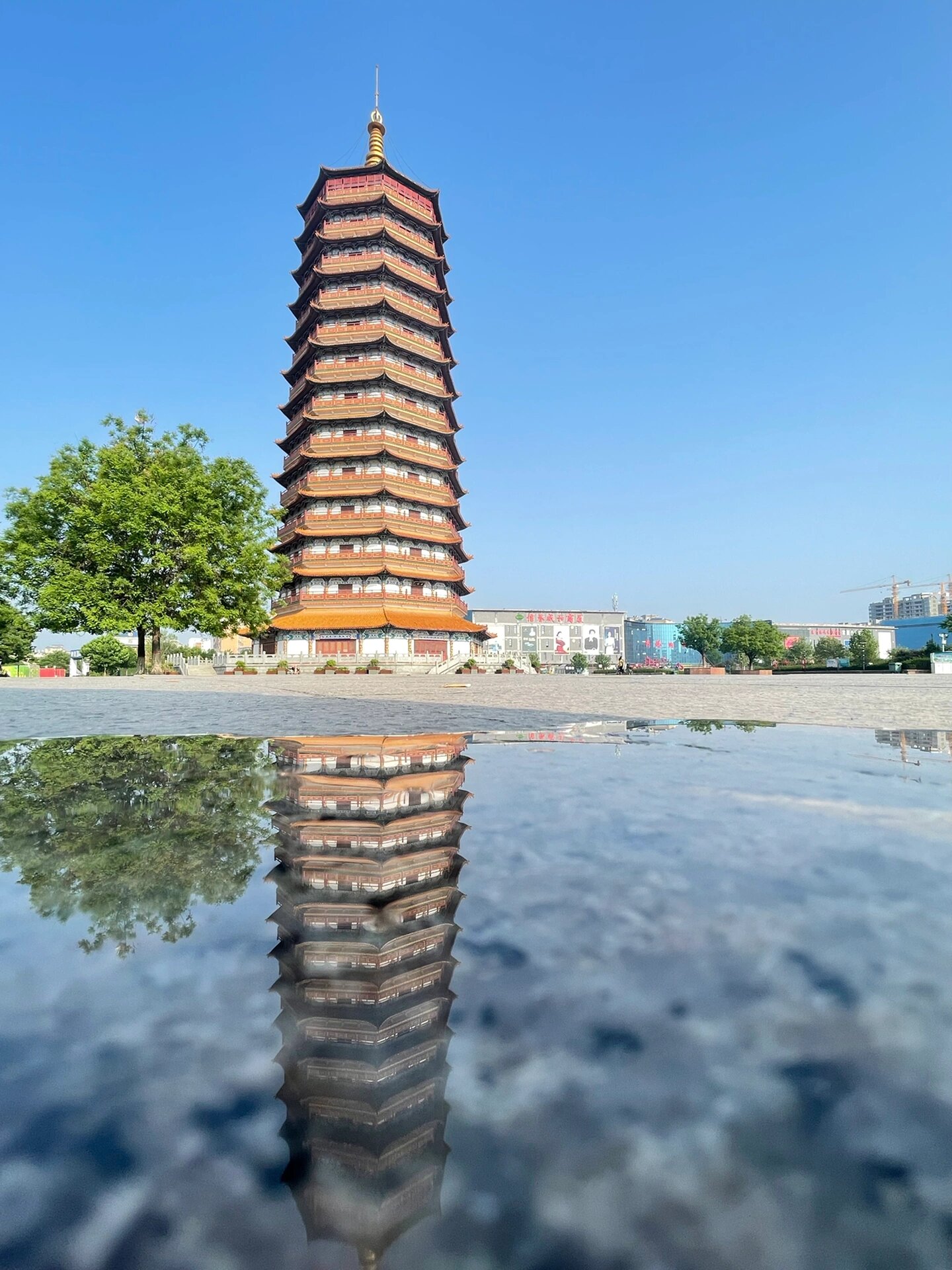 山东聊城莘县,中国蔬菜之乡