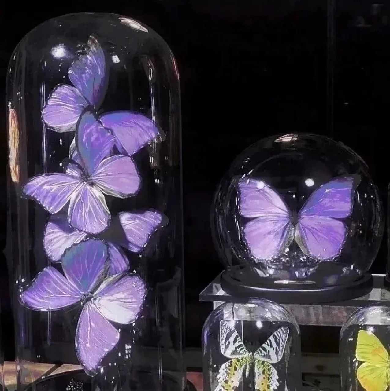 ins蝴蝶紫色系背景图