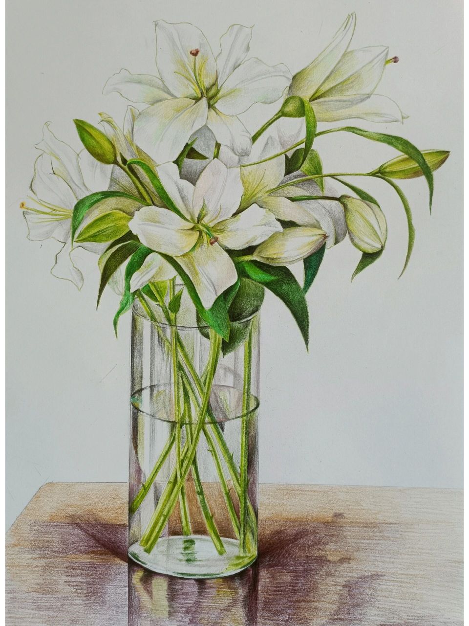 白底浅色花朵彩铅画法分享 白色的花朵,清新淡雅,无限美好.