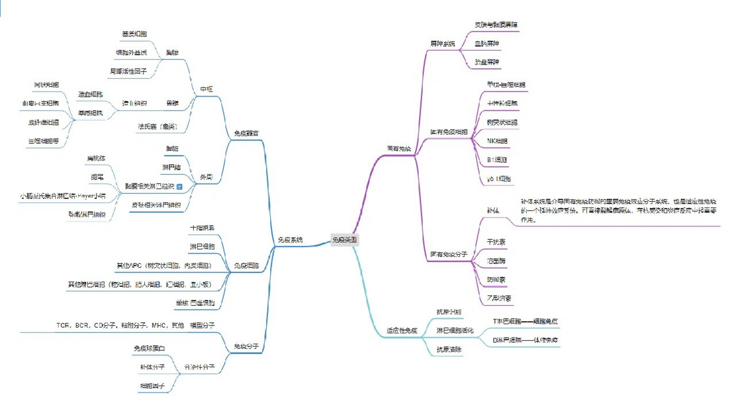 人体免疫系统思维导图图片