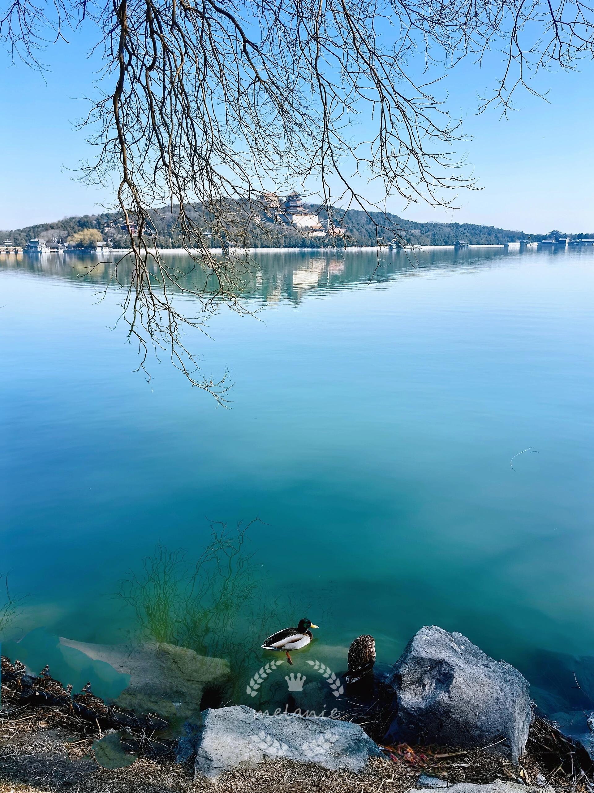 14的颐和园昆明湖,春和景明,波澜不惊  	 🌟无风的昆明湖,波平如镜