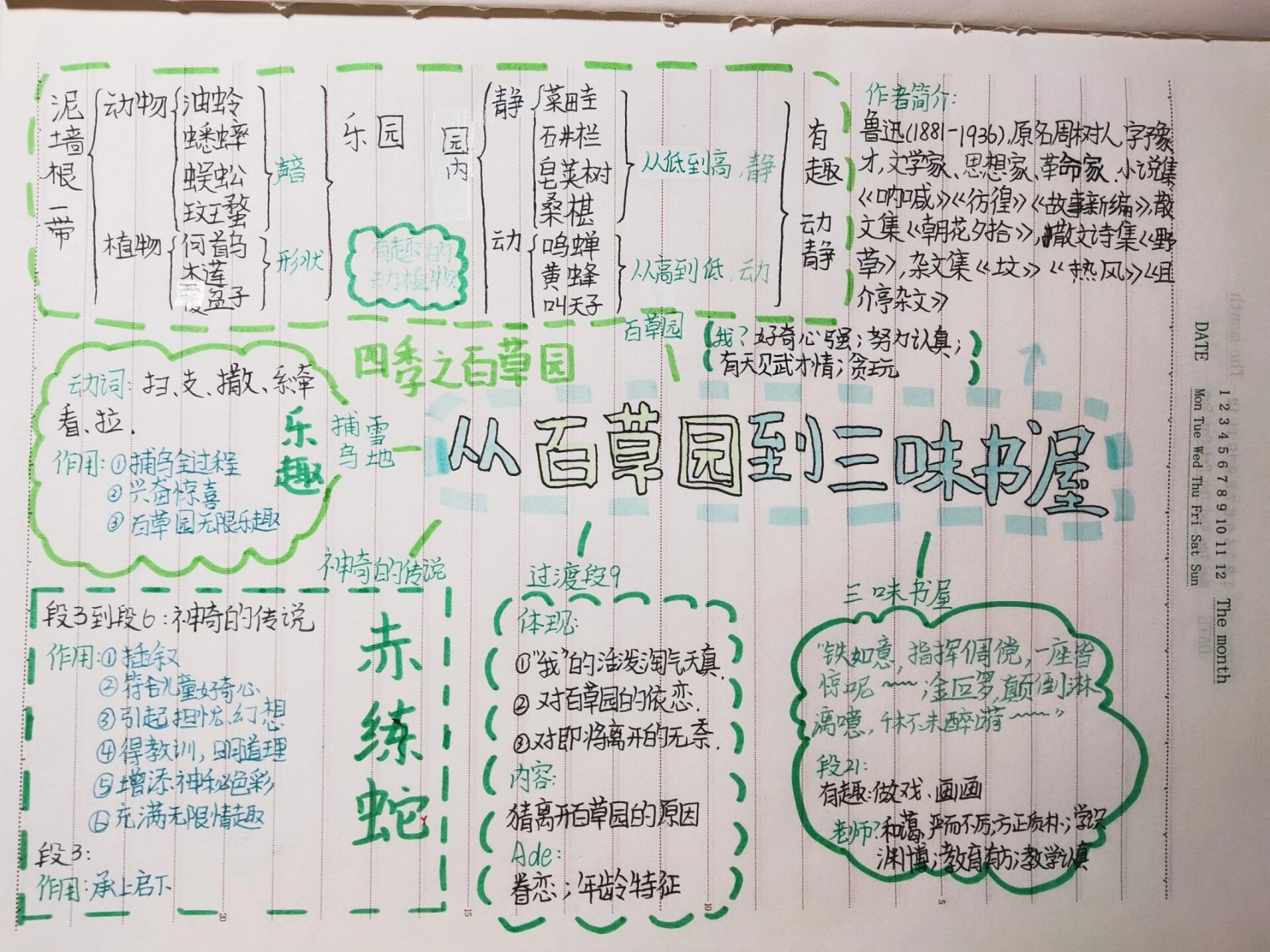 野草这本书的思维导图图片