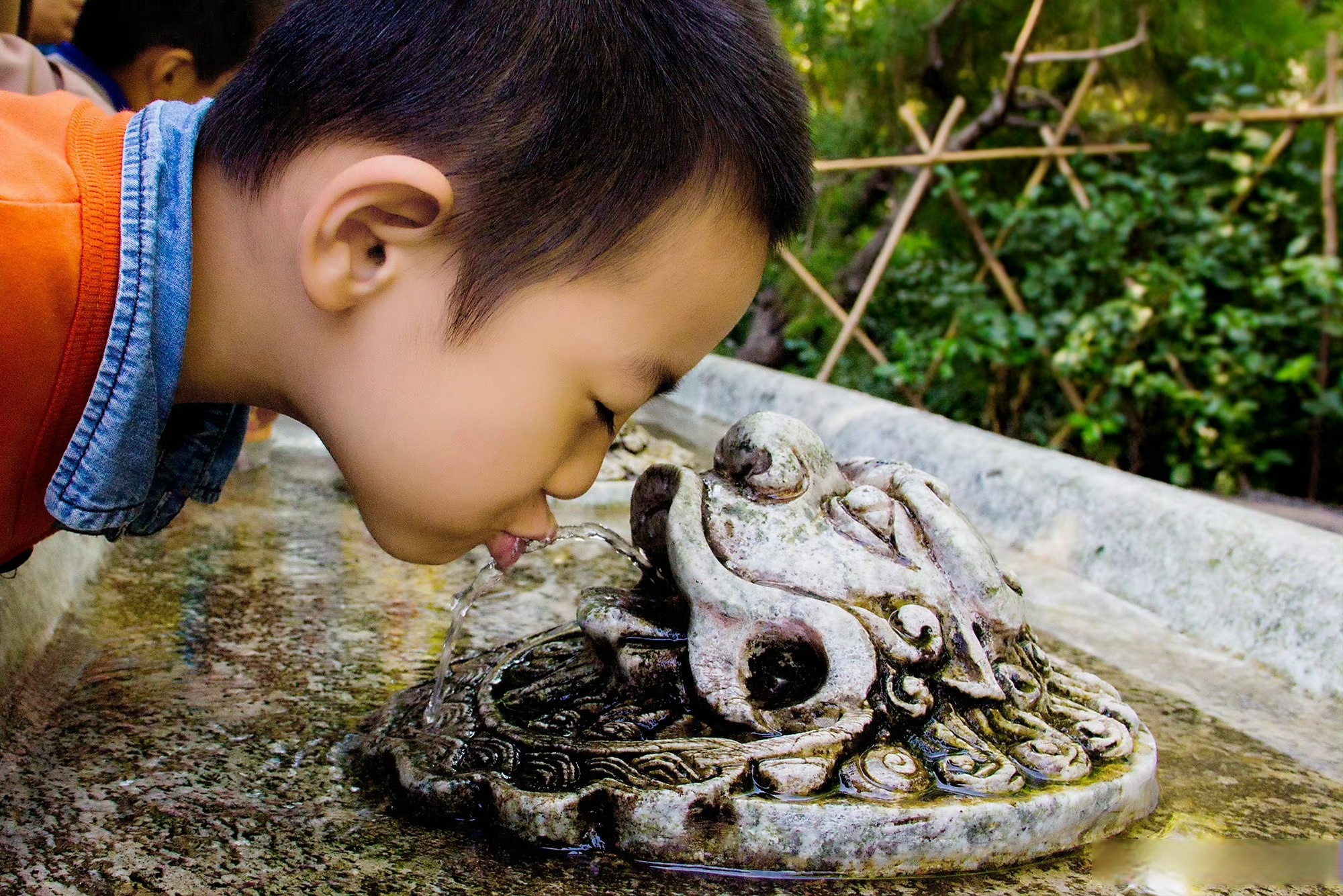 一起解锁漫游山东新姿势#