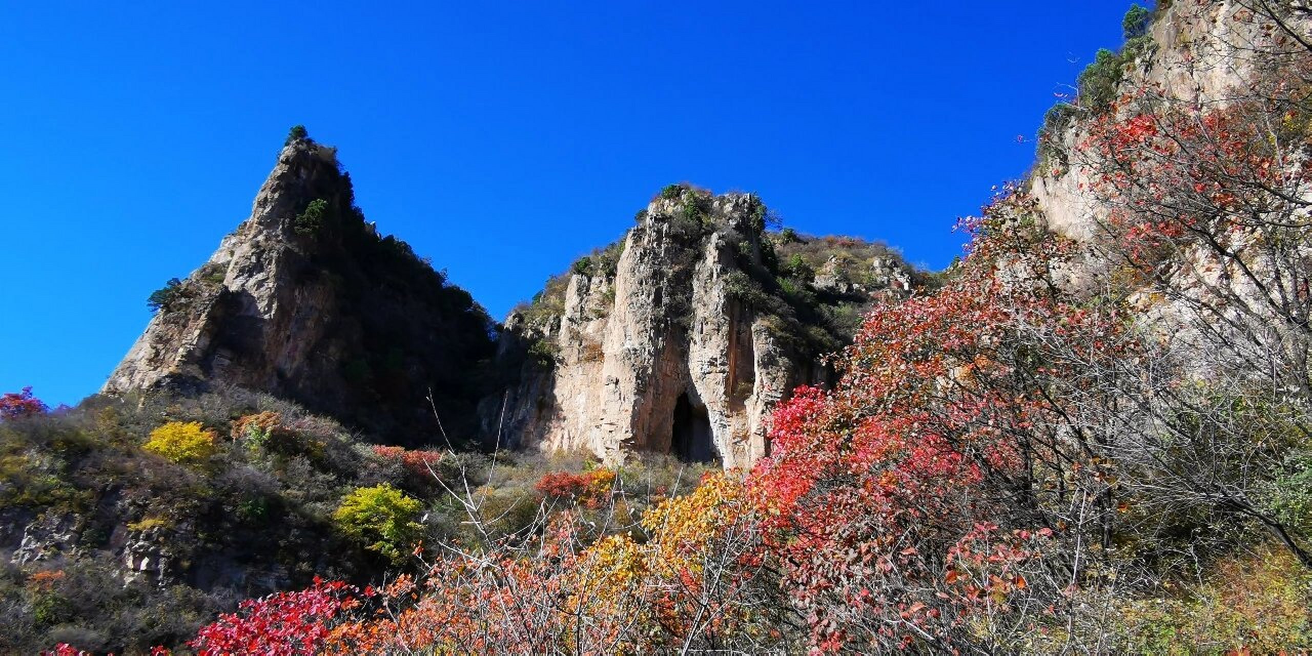 碾沟杀九坨的红叶 石家庄看红叶的好地方,在平山县沕沕水往西碾沟的