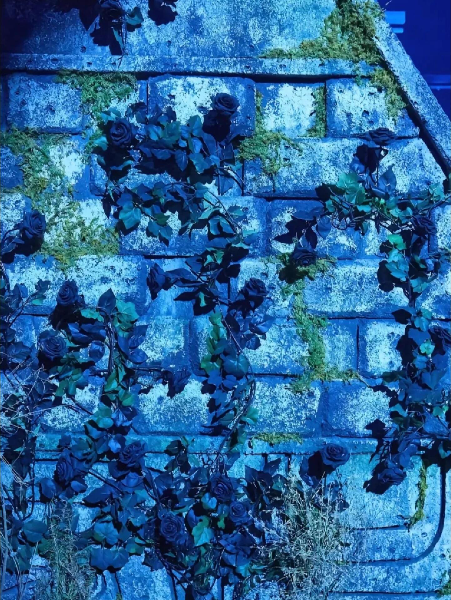 那些可以做壁纸的blackpink mv场景图