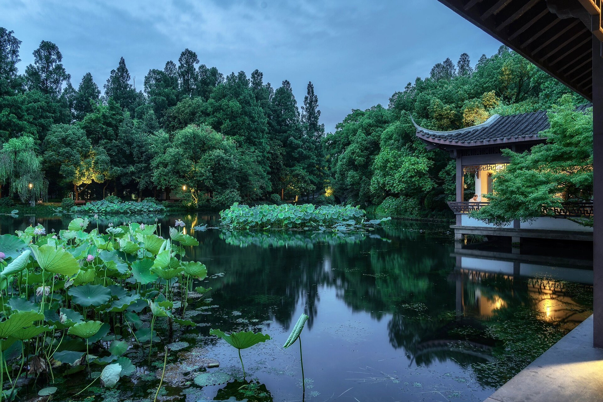 西湖赏荷丨曲院风荷 最近被杭州的荷花刷屏了,推荐一个傍晚时分游玩的