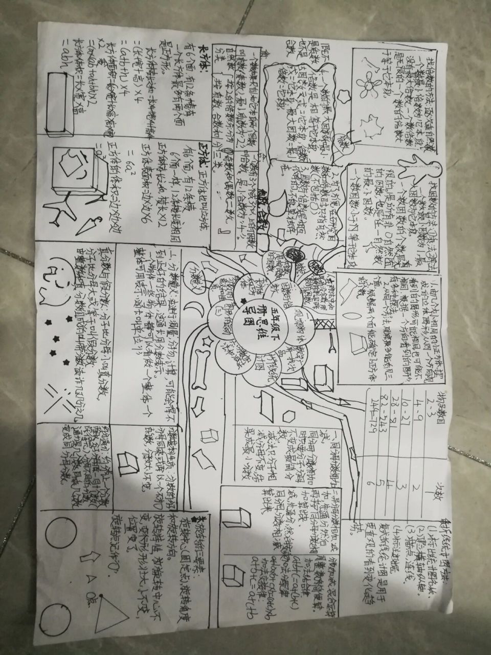 五年级下册所有知识点总结小报