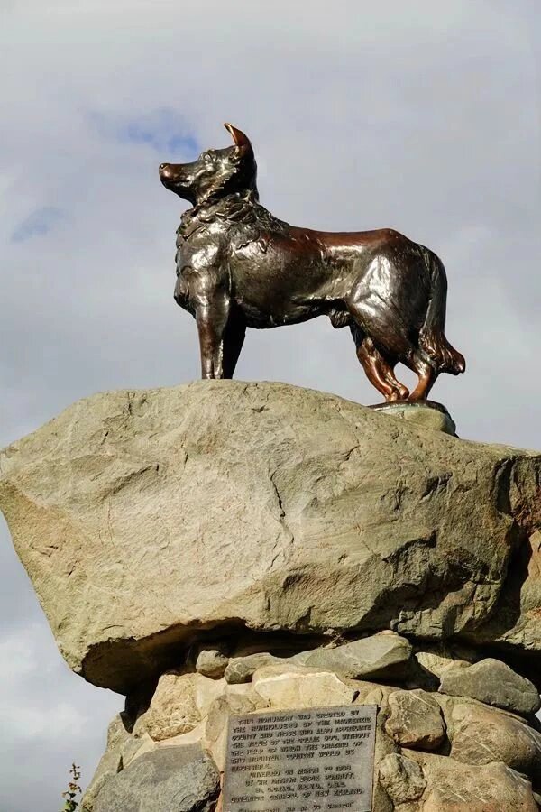 新西兰必打卡景点:好牧羊人教堂