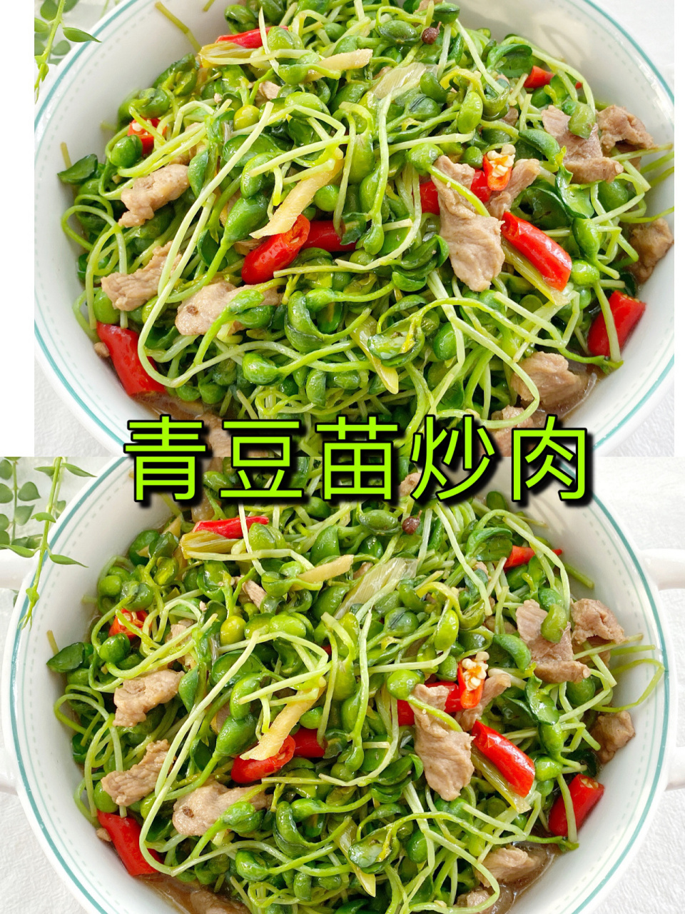 97好吃不胖减脂营养菜炒豆苗,好吃到炸裂 今天这道青豆苗95炒肉