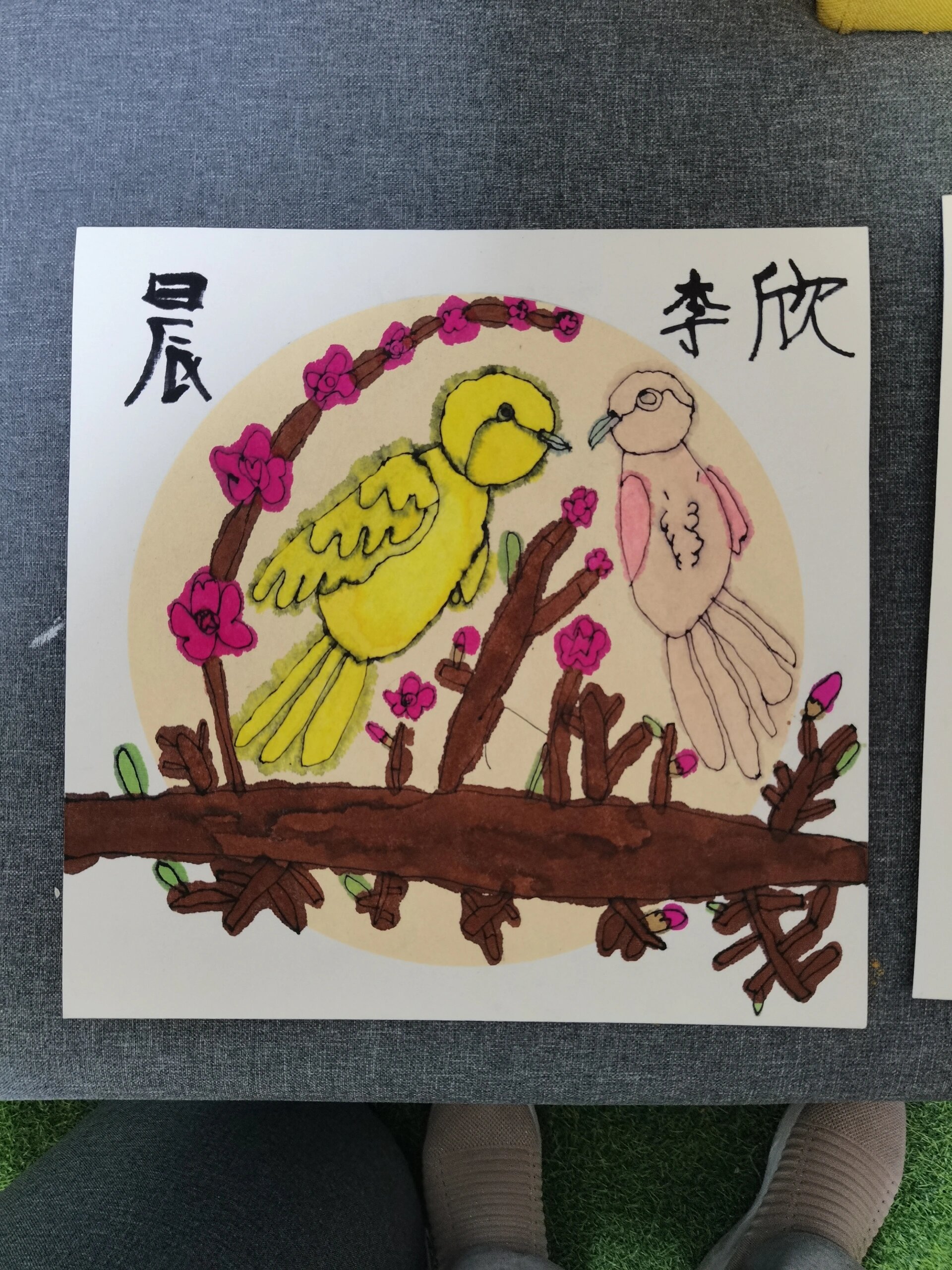 花,鸟主图课程,用纸半生熟宣卡纸,马克笔