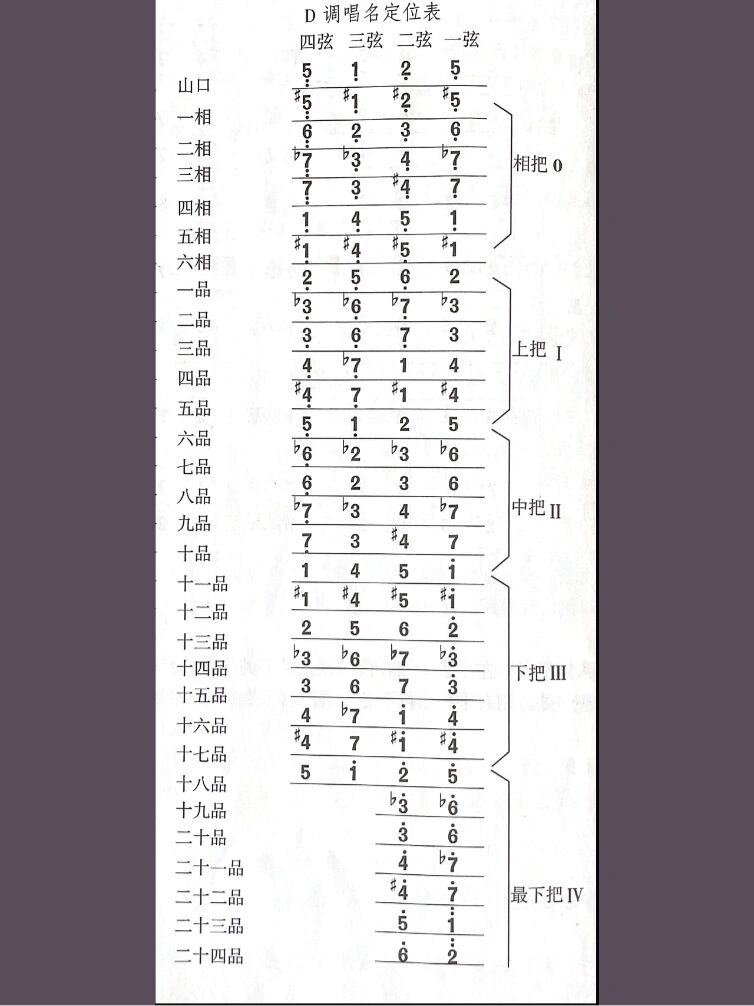 琵琶d调音位图&初学必备