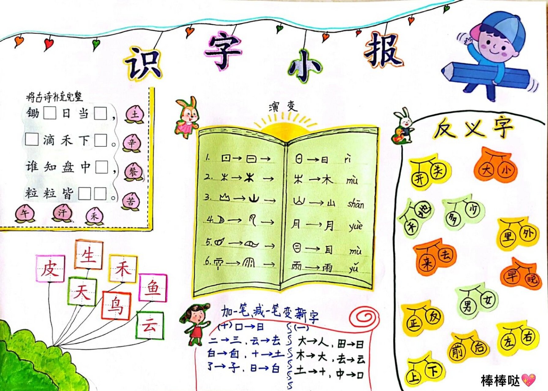 一年级 识字小报 请参考