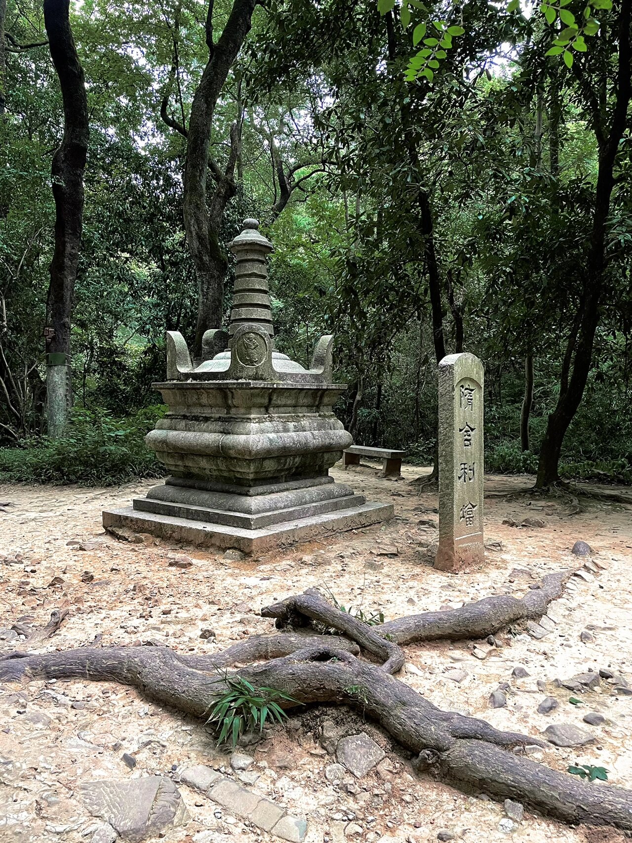 长沙麓山寺明道法师图片