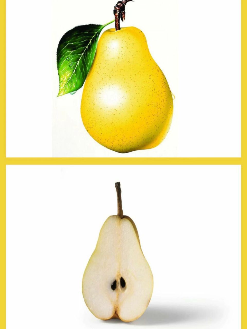 幼儿园必备公开课97‖《梨子小提琴》 9694今天和大家分享的是