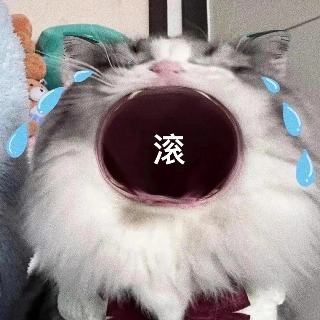 抱抱表情大全 抱抱表情大全