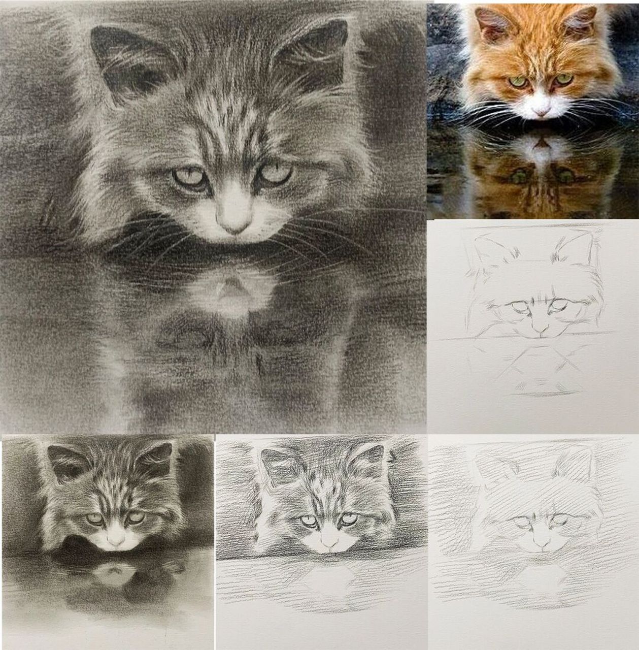 素描小猫图片大全可爱图片